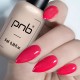 Гел лак PNB 8 мл 009
